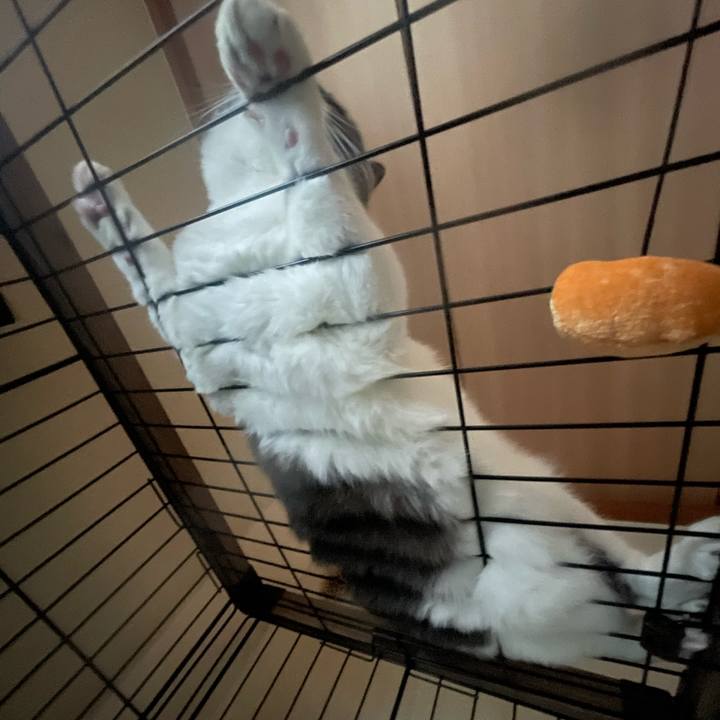 Bc95a417 579f 4677 a2f7 9cfdb45c3576 1730524091596