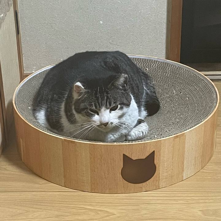 Bc95b108 ff15 4168 9faf dba411408fc9 1649416300094