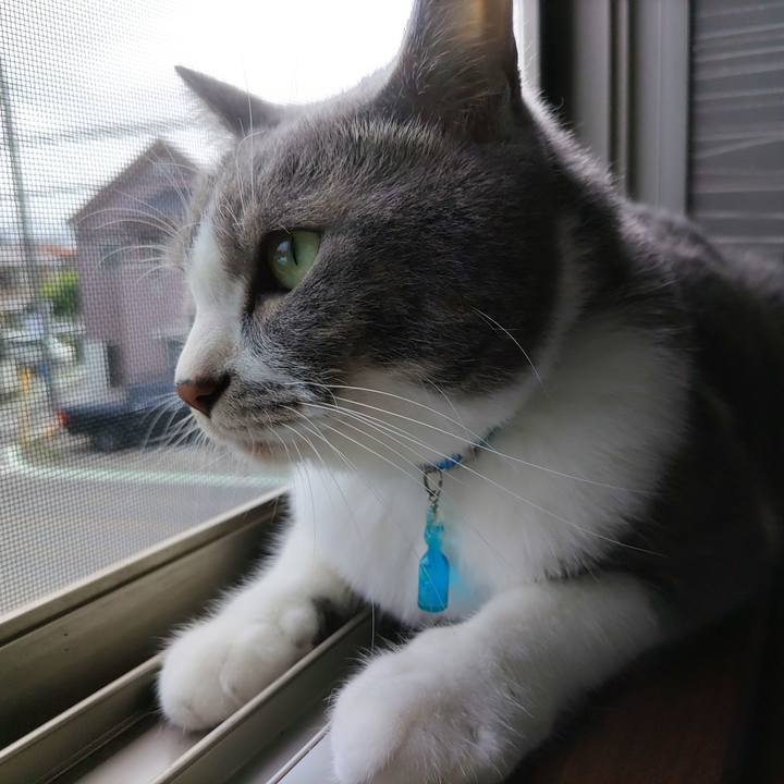 Bc95b2c2 3123 418c a4ee a3c9511a7f39 1656029739275