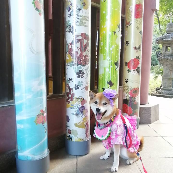 Bc960995 b32d 4ecd a002 cad2bca51ecd 1690599533776