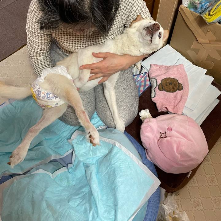 Bc960c07 aa2a 44ea 8aa1 54cdb46049cd 1678853376476