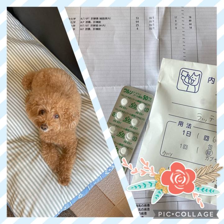 Bc960faa 5feb 4d3e 8197 3b548cb161f6 1665711590716