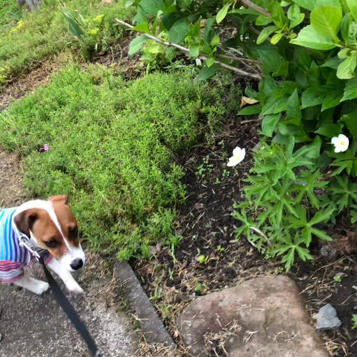 Bc961040 b6b0 49b4 826a 2c8de3d8b13e 1527728868427