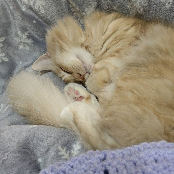 Bc964461 8822 464e 8547 749d0f68d56a 1762528715861