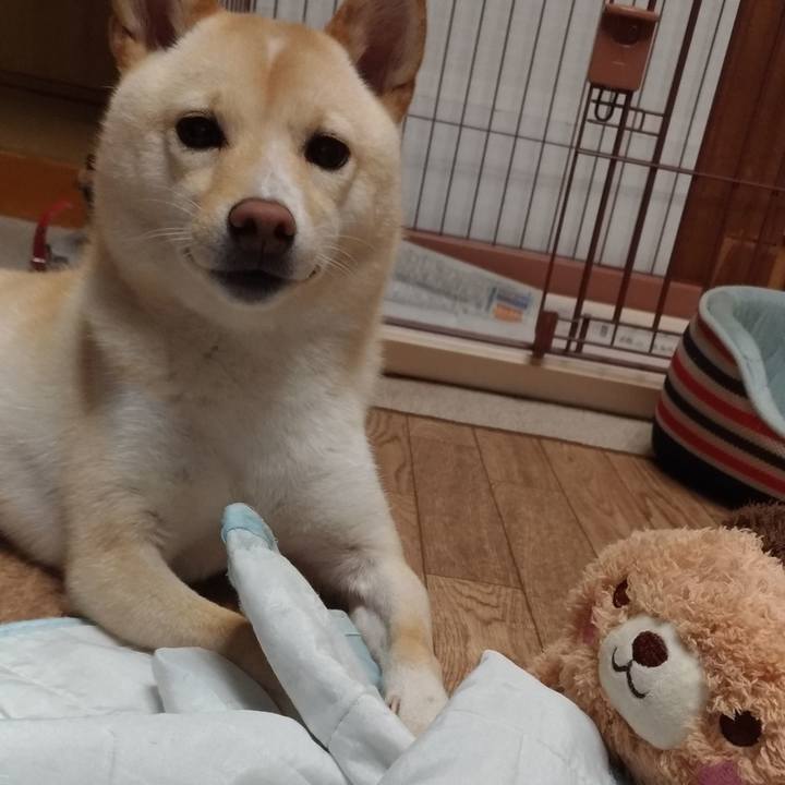 Bc96506e 96c1 4730 8f62 ab9b417e5b64 1538043994938