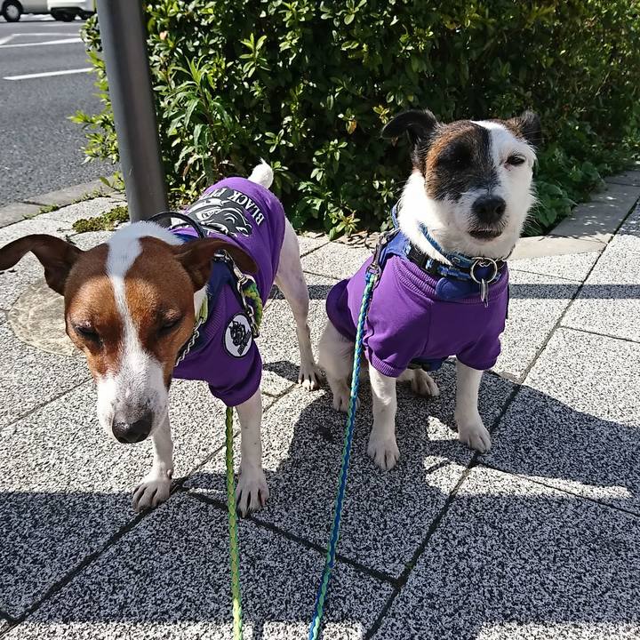 Bc9650b7 e529 4bea a87b 5eb681934959 1584764971382