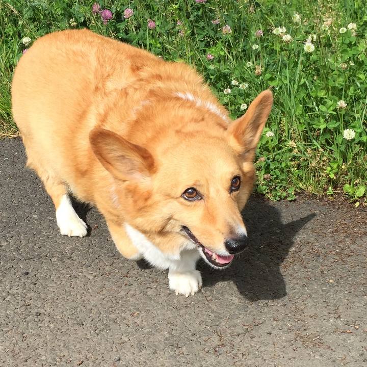 Bc969393 fed7 41a7 95f0 661a5420f7d1 1508129352166