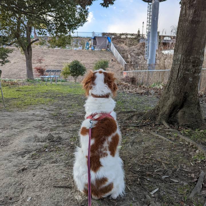 Bc96d2f5 b8f4 4de6 9362 8ef8eced4167 1642593481353