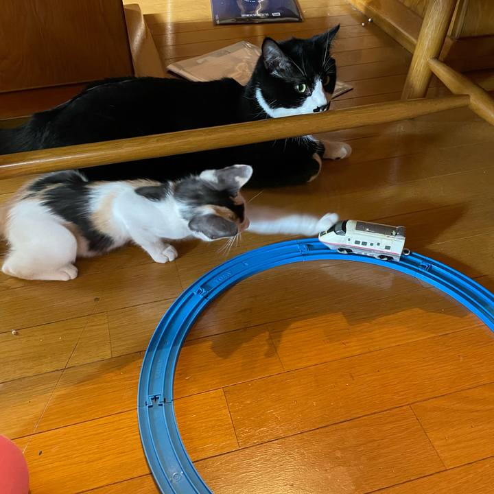 Bc96ed5a 5f8c 4fab 91ad 8d2e682a2f25 1659752194470