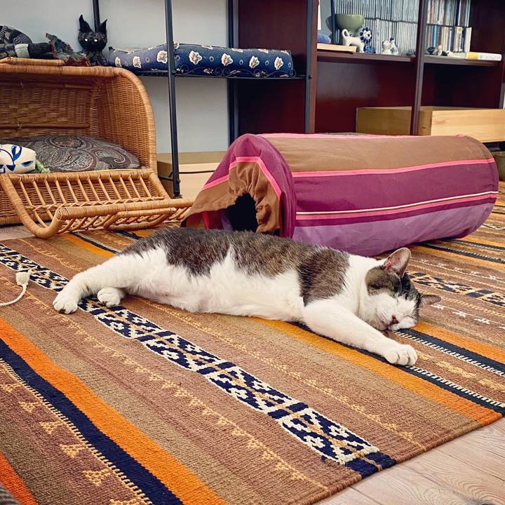 Bc96fa02 4a24 4bc3 85db c0205031daf0 1591694774619