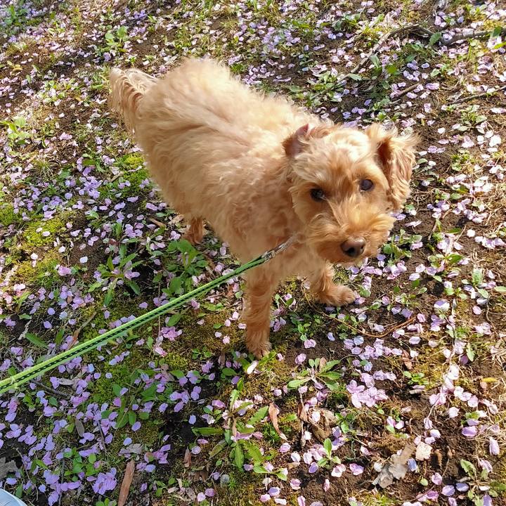 Bc975389 5752 4db1 a98a 516a9550e679 1588842550444