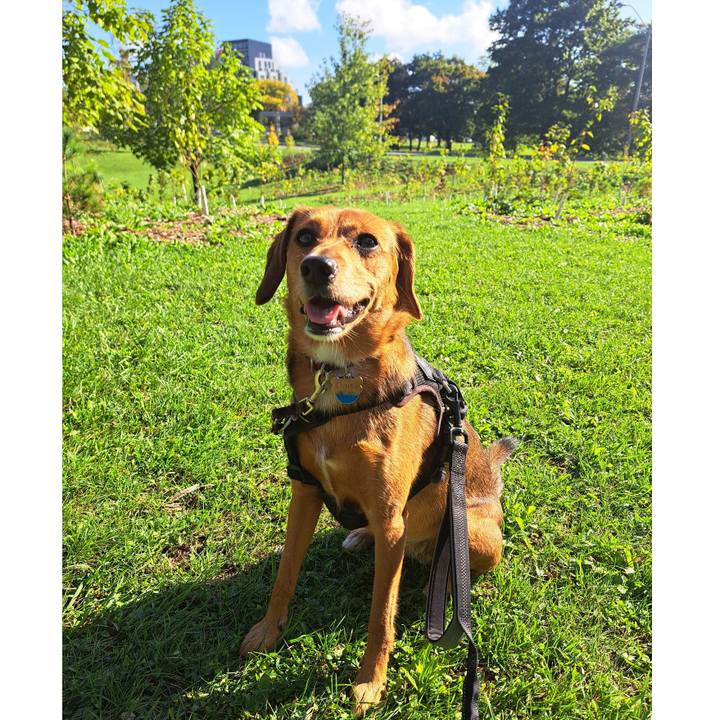 Bc97549e 2c6d 4ade 9a02 2a8daf537b07 1758899443760