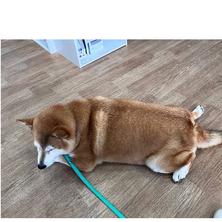 Bc975eb5 0f00 4c0f a4d0 4ecc8f2e935f 1694247707886