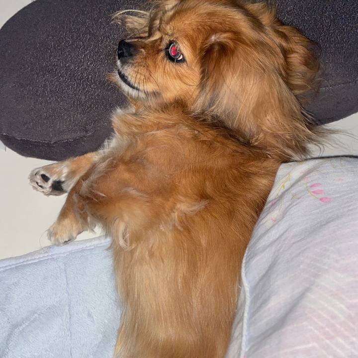 Bc976b4c 04ce 4f8c ac6b 90005d73d48b 1668028155117