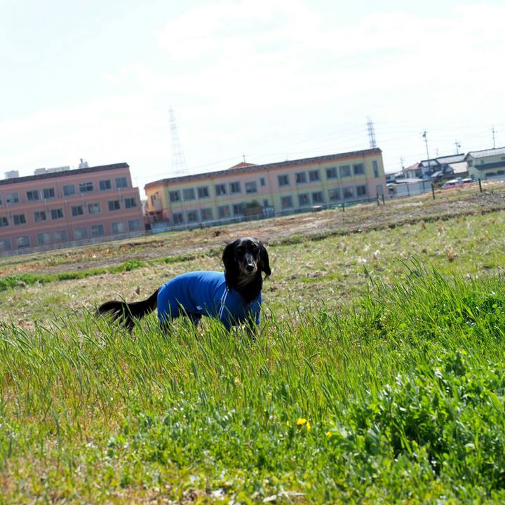 Bc97855c caa3 40d0 b354 3d9ccafc8616 1555136518081