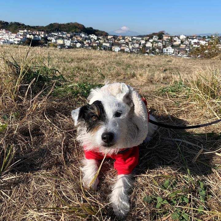 Bc978c1f 9b7a 4be3 a000 95fe9c4d4df4 1670808437730