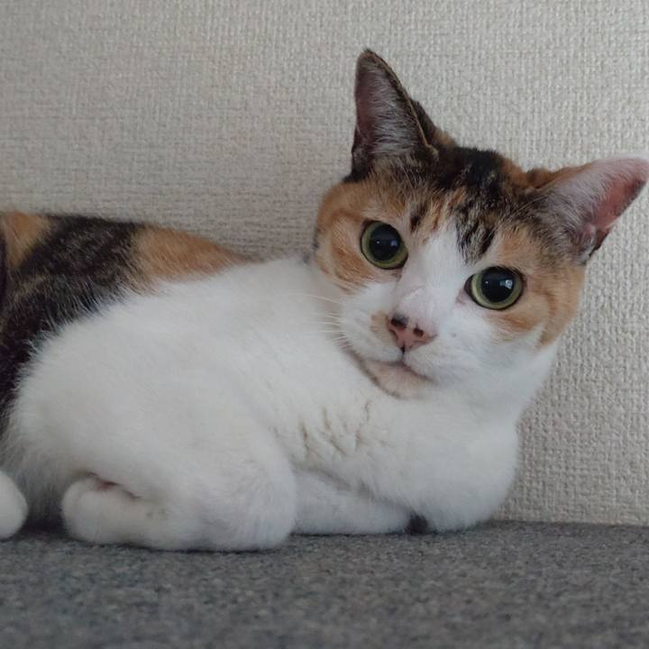 Bc978f08 d70b 4abf 9188 0402a3724178 1632743888360