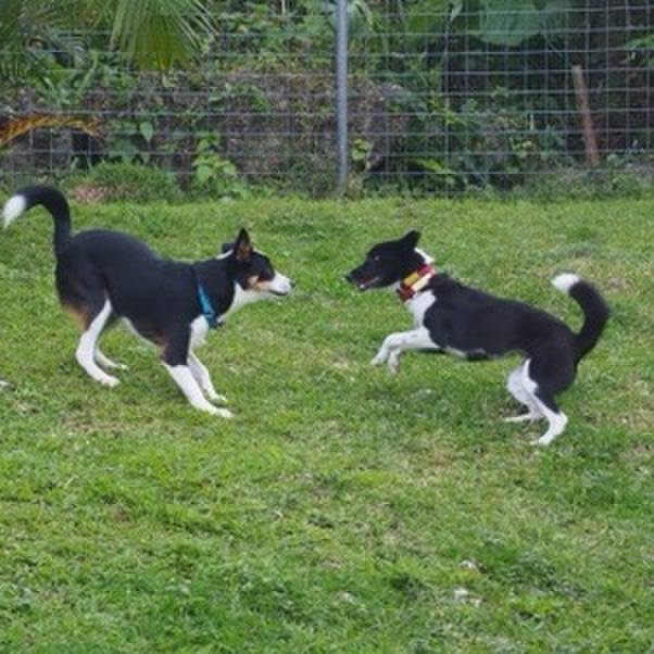 Bc979e9b e20e 4118 ab8c da88dedd3e6f 1575862786284