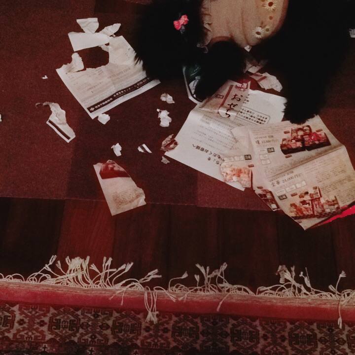 Bc97c9b3 976f 4646 bf9a 001778e2413e 1512125321260