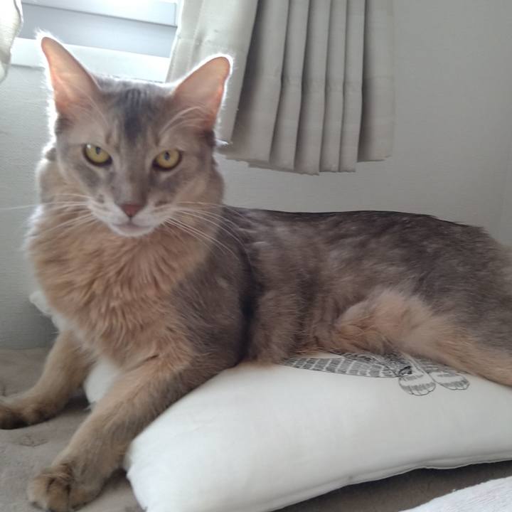 Bc97d186 61bd 4946 b3d6 5a4047e21703 1606031795263