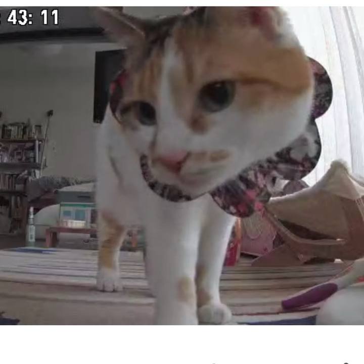 Bc97fc62 e5e6 4b2f bad9 aa0d3d22ee44 1744065464070