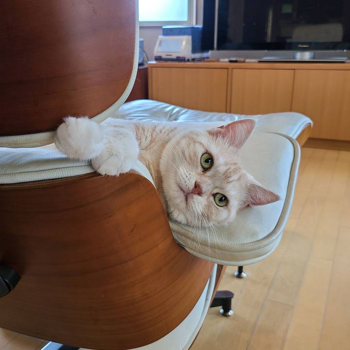 Bc9808f9 6cd5 49f8 8175 fc5d63c15029 1600911118293