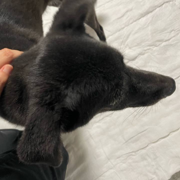 Bc9838c0 34ab 4cd6 be40 9a5d3ec54280 1663937411307