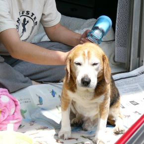 Bc985593 83b4 4cb6 a1cc 1b25e5d4f819 1641861111333