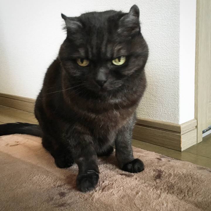 Bc986430 191b 49f2 8f55 e0fd17f48d33 1585219758780