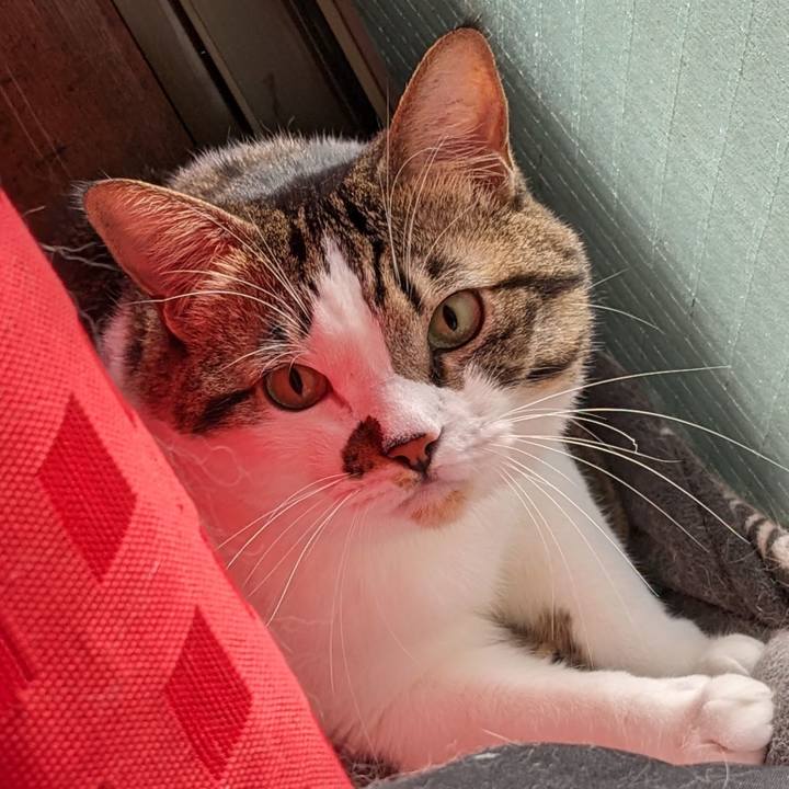 Bc9891ae e28b 49f4 ac21 5347d7d78a71 1698539572094