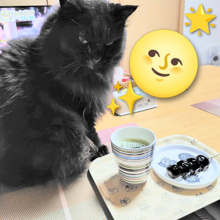 Bc98b3e3 dbdd 41cd a68b 624e1369ab57 1759752616532