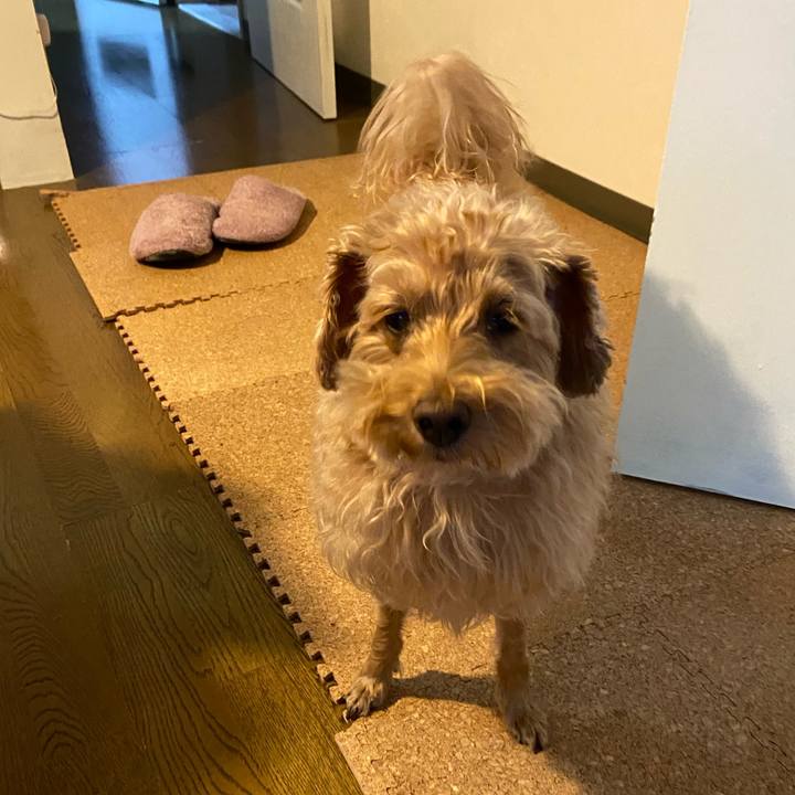 Bc98c935 acca 412d b416 2a1d7a63bb44 1634598391364