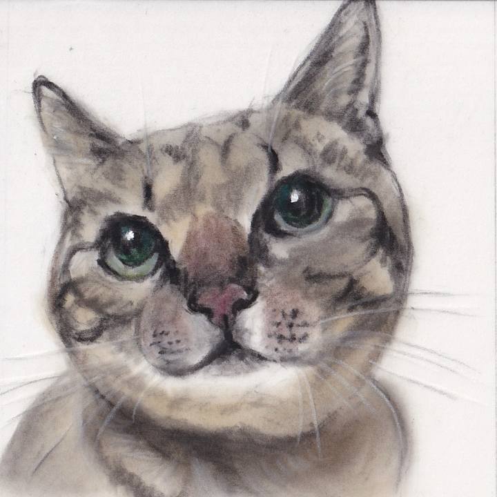 Bc98d450 bb7a 4b16 af19 d2edce01d4a6 1724601649736