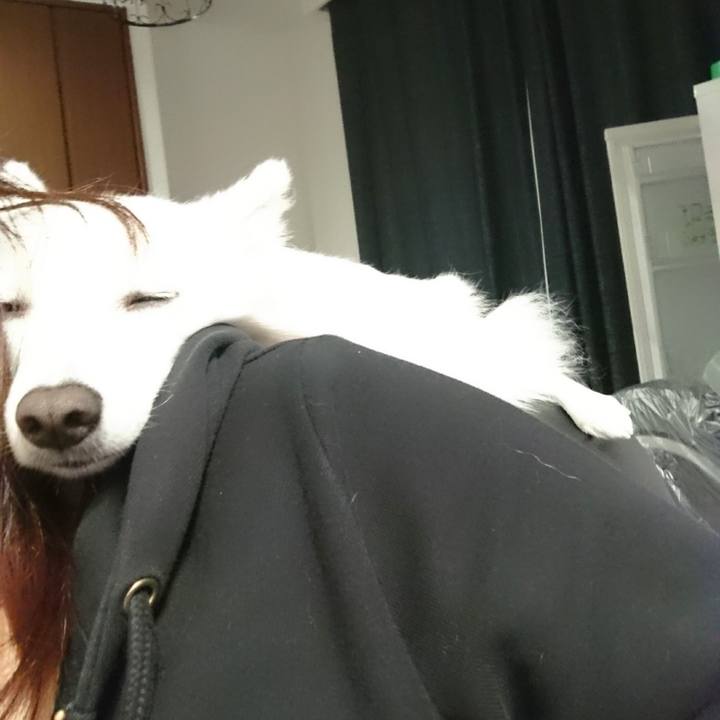 Bc990e30 7f75 49e5 8cb3 2ecafd8fdaa9 1524628167389