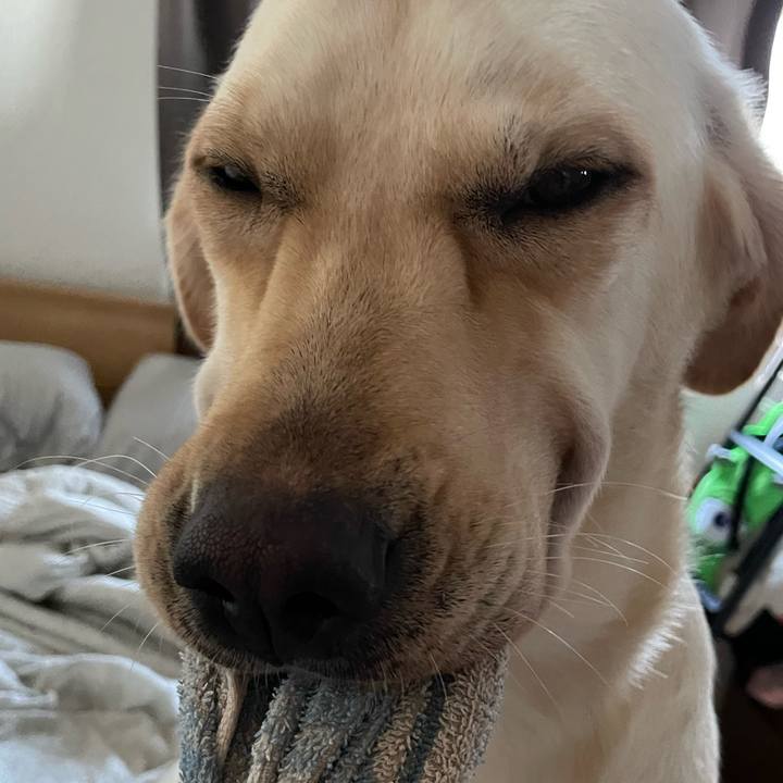 Bc99111e dd3b 4a4d 83ff 466562eef22c 1659941510610