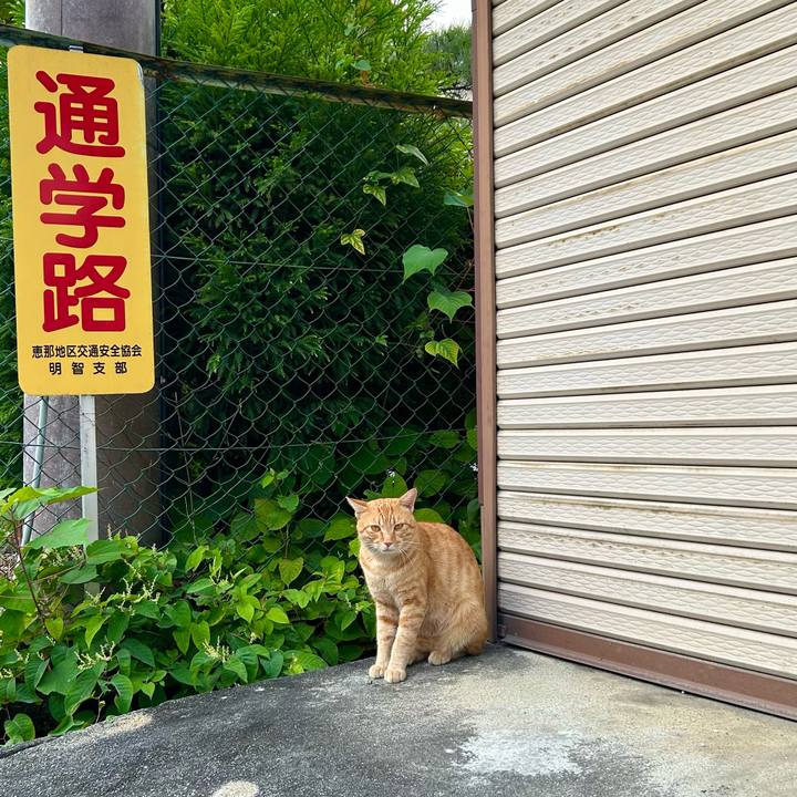 Bc995df3 abd7 4c70 8b84 614c4c346c34 1726052858204