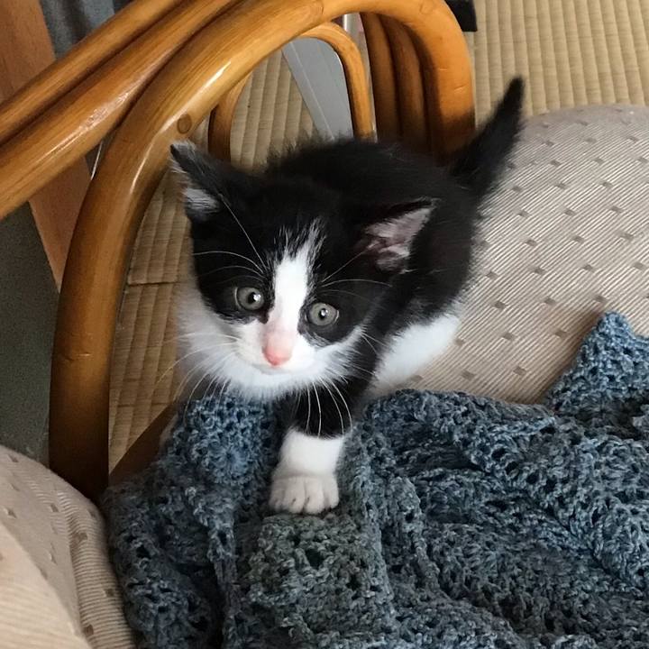 Bc9985f7 c076 495b 87a7 93a156c5a078 1623400552635