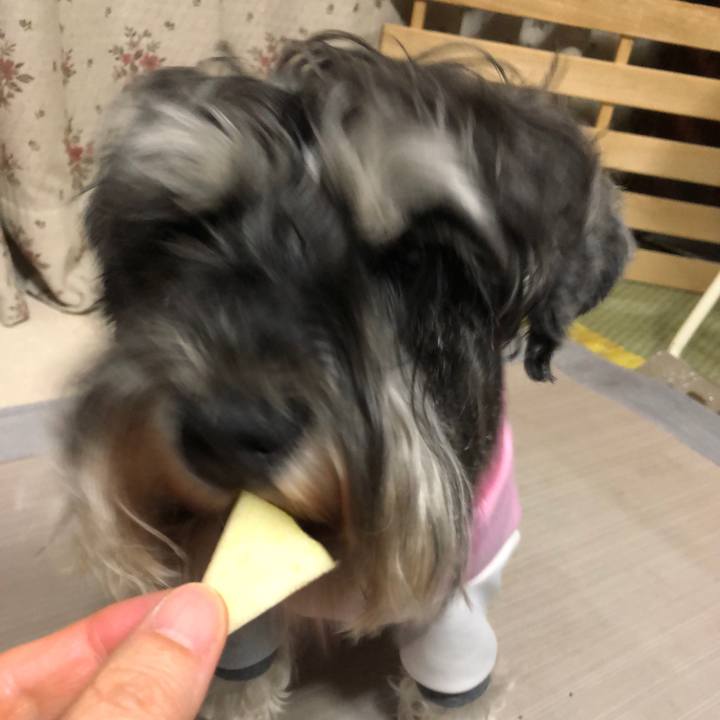 Bc99c69b d8f7 4f73 8316 1e4ceb35f021 1618669751553