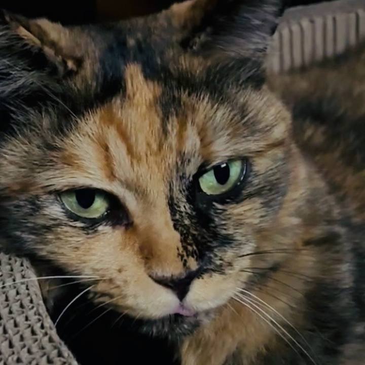 Bc99d1d2 7101 44e1 ab3c 07f9dc2a8db3 1758276630007