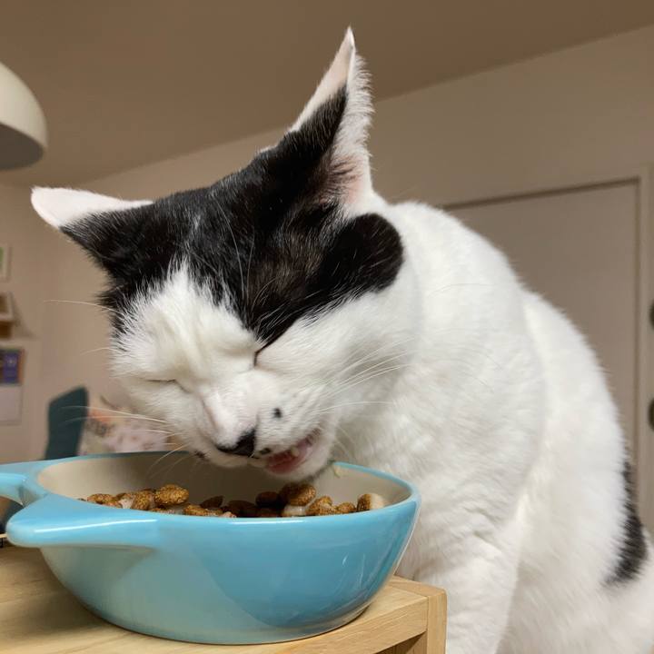 Bc99e80f 6ee1 433a 8076 af94887f5183 1766002152711