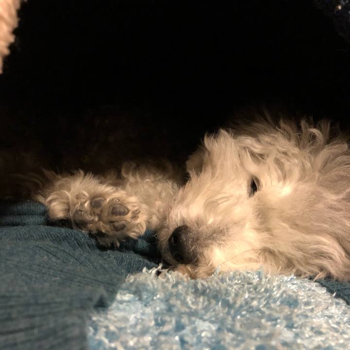 Bc99f8b3 92ea 4278 9ca8 239d50a813bb 1609426600025