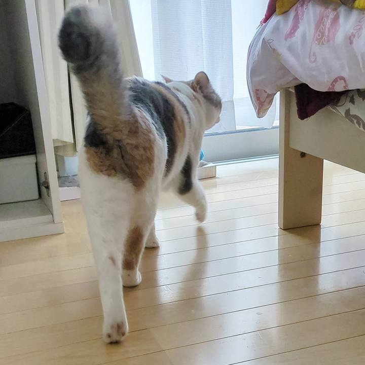 Bc9a06e1 a6e4 435a a5ae 02af5f0e0c3f 1707714374743