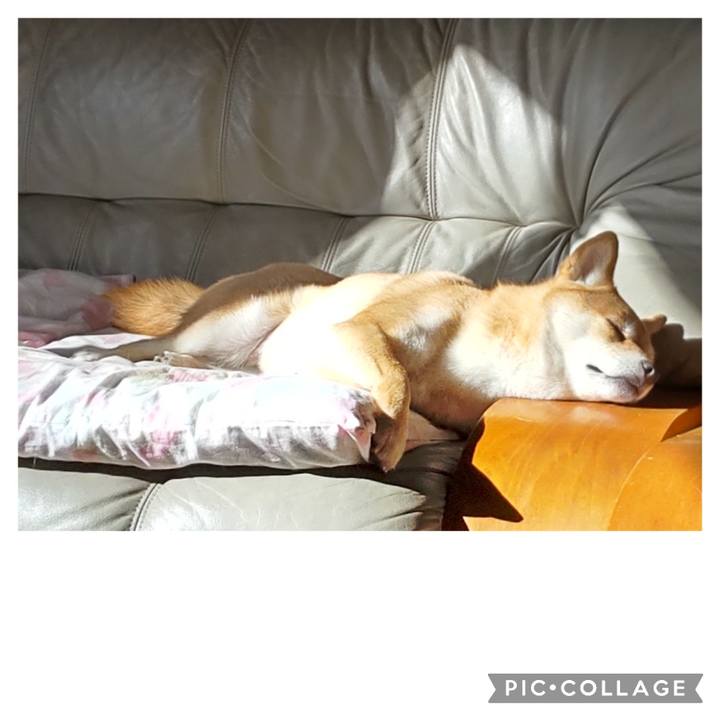 Bc9a78cb 8cf0 4ea3 a858 27ff7dfe0b90 1707181505920