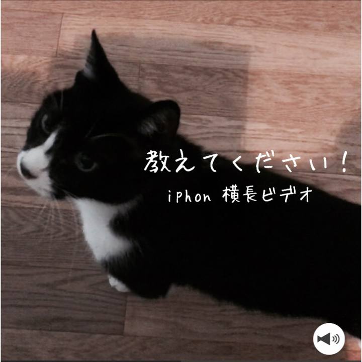 Bc9a8507 f5a0 4a3b ab76 650262b6e41a 1571012209611