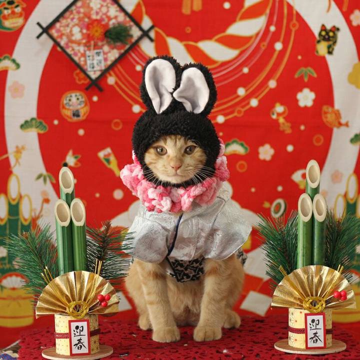 Bc9a9fc1 4e43 4956 9e54 b4ad20404aa1 1546272271738