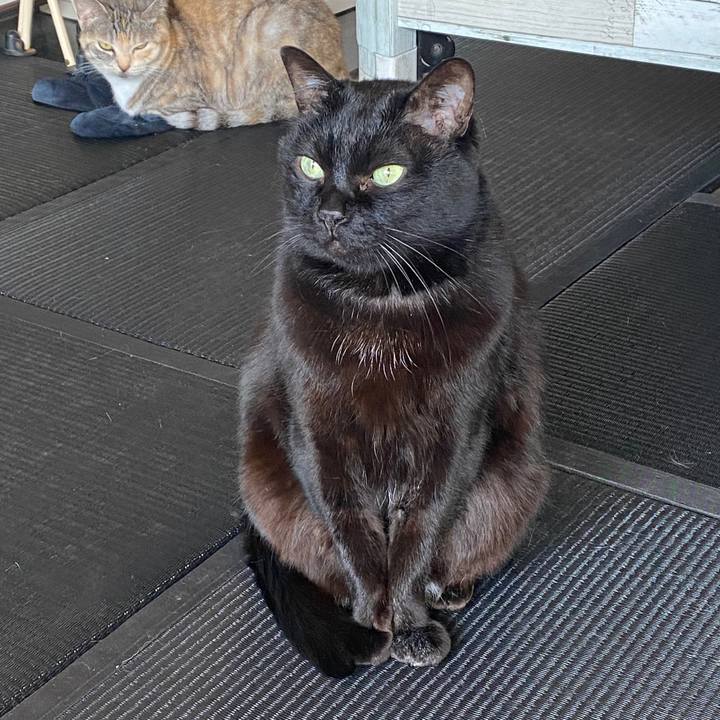 Bc9ab5a4 c518 480e 9ac5 b6369ffb8899 1586301414610