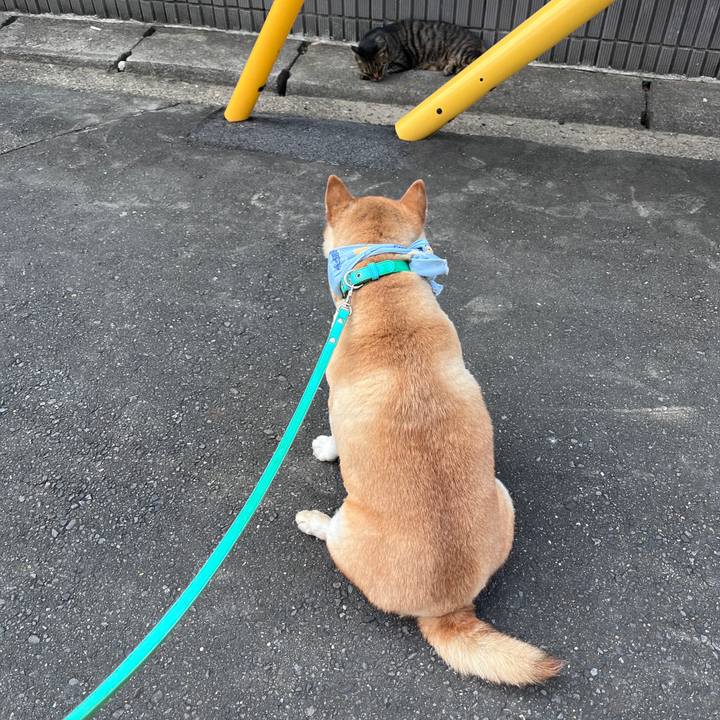 Bc9ac4c3 7995 4349 9cee 2d0b1dd03870 1722727703330