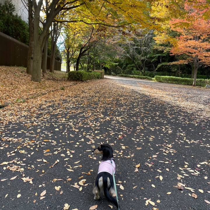 Bc9ac78b 9a8f 4ec1 a87e 957f24fed46c 1763169033263