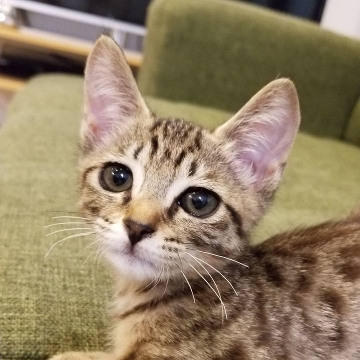 Bc9ae7fd cd02 4fdf 8a4a 9d9f0c5e5fcc 1536206293879