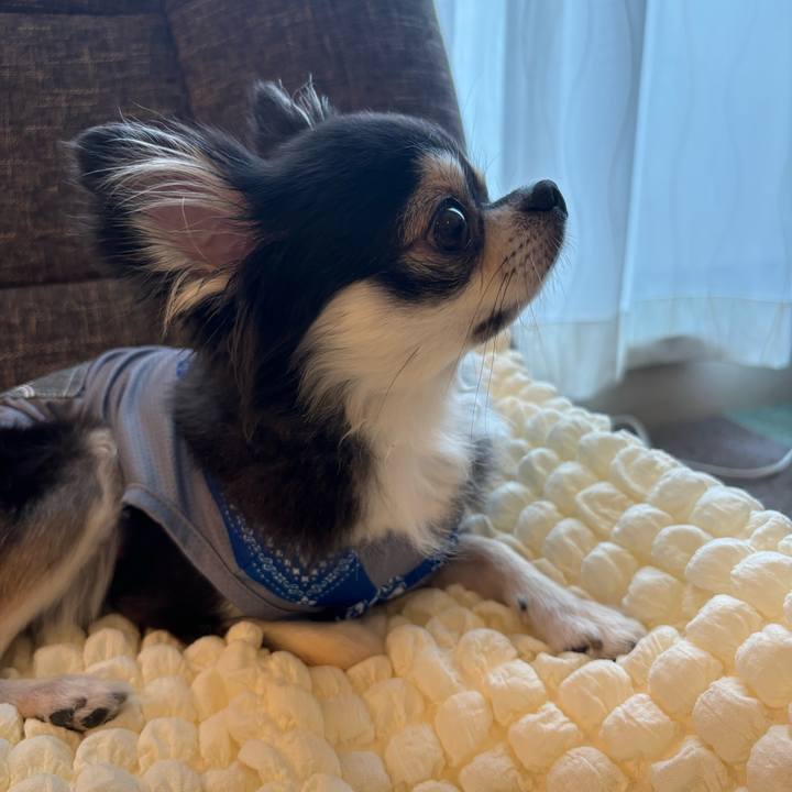 Bc9b0c76 a562 4eae 918e bf690f38dc4e 1725118691239